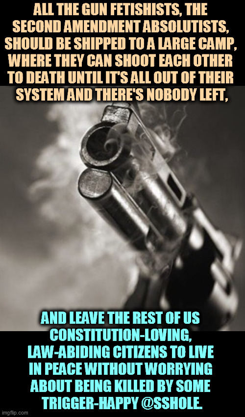 Our gun obsession is an embarrassment before the world, America's shame. | ALL THE GUN FETISHISTS, THE 
SECOND AMENDMENT ABSOLUTISTS, 
SHOULD BE SHIPPED TO A LARGE CAMP, 
WHERE THEY CAN SHOOT EACH OTHER 
TO DEATH UNTIL IT'S ALL OUT OF THEIR 
SYSTEM AND THERE'S NOBODY LEFT, AND LEAVE THE REST OF US 
CONSTITUTION-LOVING, 
LAW-ABIDING CITIZENS TO LIVE 
IN PEACE WITHOUT WORRYING 
ABOUT BEING KILLED BY SOME 
TRIGGER-HAPPY @SSHOLE. | image tagged in guns,murder,second amendment,idiots | made w/ Imgflip meme maker