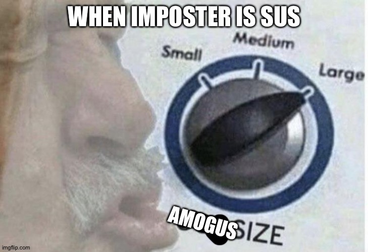 Oof size large | WHEN IMPOSTER IS SUS; AMOGUS | image tagged in oof size large | made w/ Imgflip meme maker