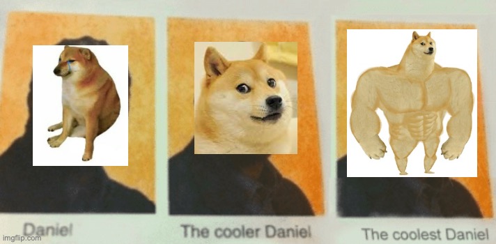 I like all doges | image tagged in the coolest daniel | made w/ Imgflip meme maker