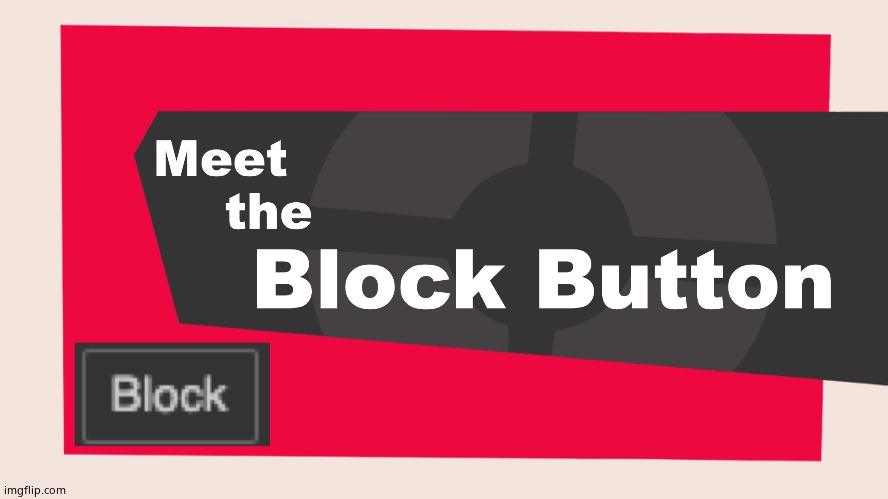 Meet the block button | image tagged in meet the block button | made w/ Imgflip meme maker