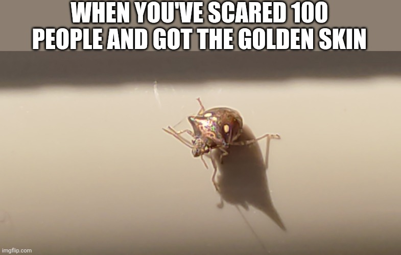 His name is Fred | WHEN YOU'VE SCARED 100 PEOPLE AND GOT THE GOLDEN SKIN | image tagged in fun | made w/ Imgflip meme maker