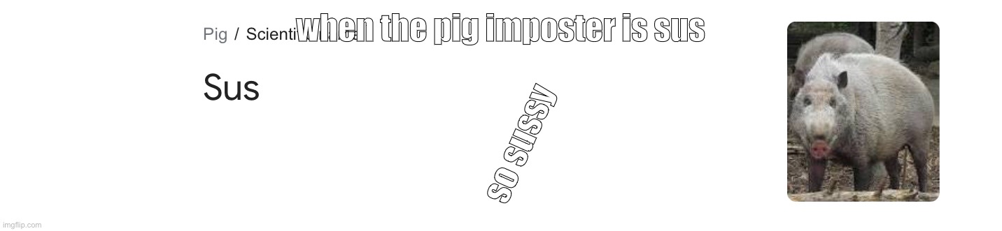 No- IT CANT BE | when the pig imposter is sus; so sussy | image tagged in sus | made w/ Imgflip meme maker