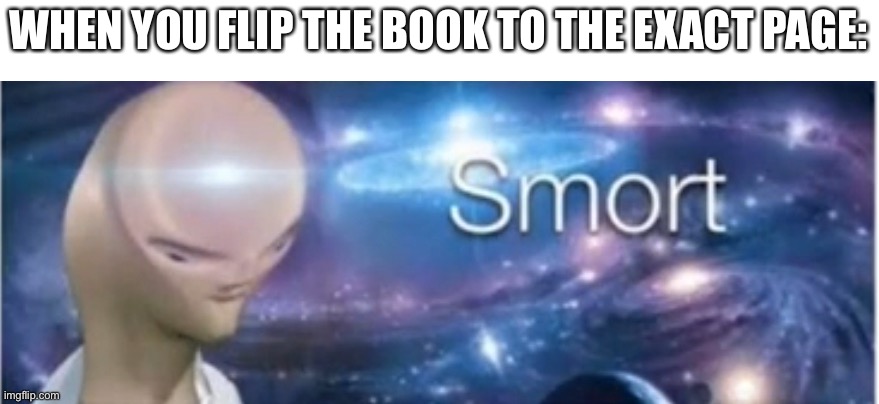 I am smort | WHEN YOU FLIP THE BOOK TO THE EXACT PAGE: | image tagged in meme man smort,memes,big brain | made w/ Imgflip meme maker