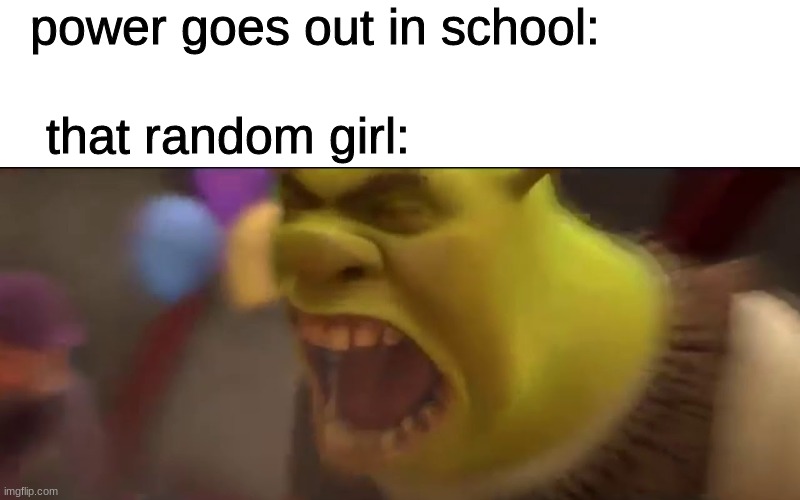 ... | power goes out in school:; that random girl: | image tagged in shrek screaming | made w/ Imgflip meme maker