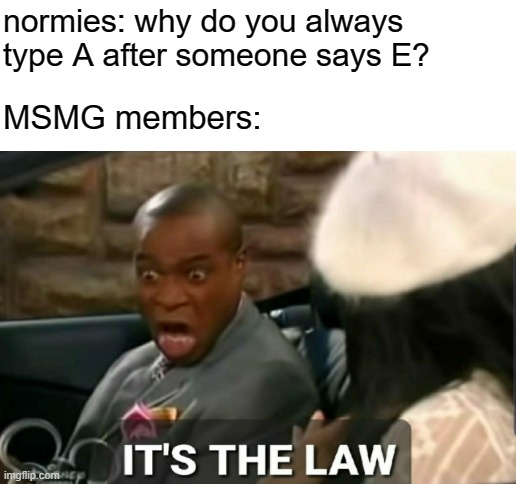 normies: why do you always type A after someone says E? MSMG members: | image tagged in blank white template,its the law,msmg | made w/ Imgflip meme maker