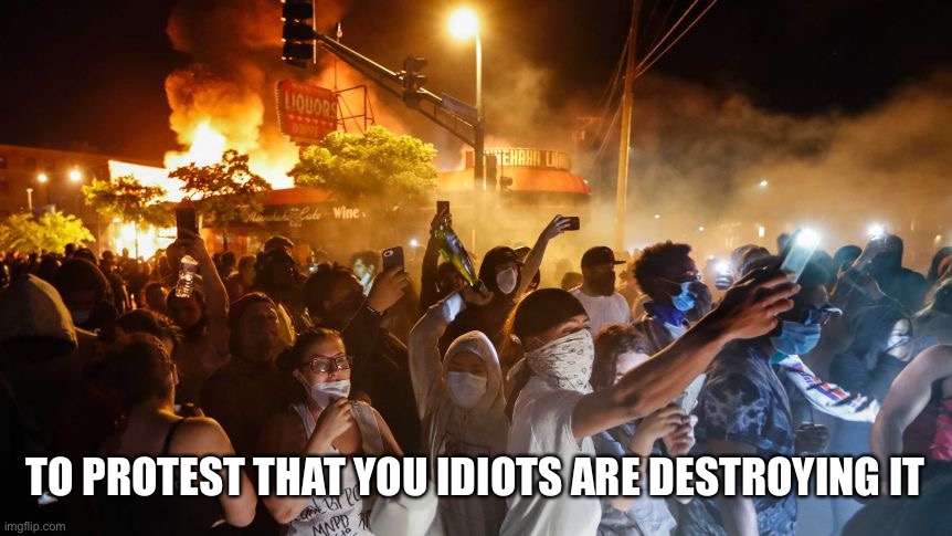 RiotersNoDistancing | TO PROTEST THAT YOU IDIOTS ARE DESTROYING IT | image tagged in riotersnodistancing | made w/ Imgflip meme maker