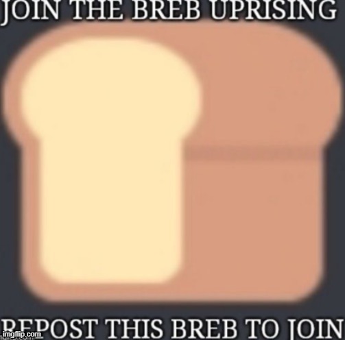 Breb | made w/ Imgflip meme maker