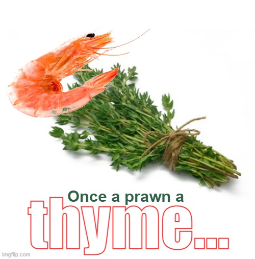 ...in a Land Far Far Away | Once a prawn a; thyme... | made w/ Imgflip meme maker