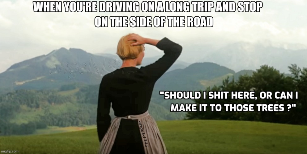 image tagged in the sound of music,shit,road trip,forest,driving,road | made w/ Imgflip meme maker