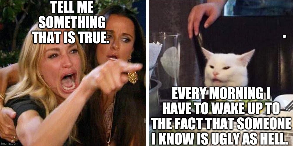 Smudge the cat | TELL ME SOMETHING THAT IS TRUE. J M; EVERY MORNING I HAVE TO WAKE UP TO THE FACT THAT SOMEONE I KNOW IS UGLY AS HELL. | image tagged in smudge the cat | made w/ Imgflip meme maker