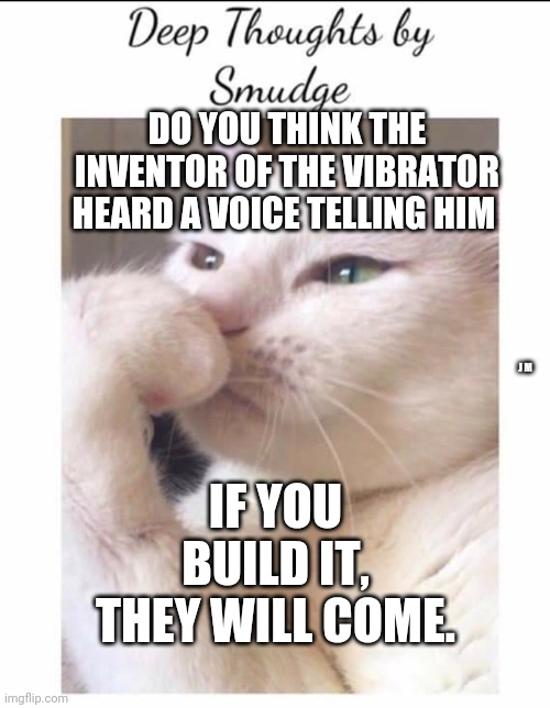 Smudge | DO YOU THINK THE INVENTOR OF THE VIBRATOR HEARD A VOICE TELLING HIM; IF YOU BUILD IT, THEY WILL COME. J M | image tagged in smudge | made w/ Imgflip meme maker