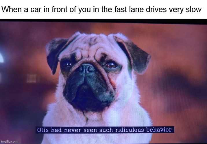 Otis had never seen such ridiculous behavior | When a car in front of you in the fast lane drives very slow | image tagged in otis had never seen such ridiculous behavior,memes | made w/ Imgflip meme maker