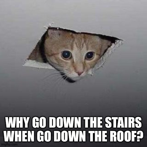 Ceiling Cat Meme | WHY GO DOWN THE STAIRS WHEN GO DOWN THE ROOF? | image tagged in memes,ceiling cat | made w/ Imgflip meme maker