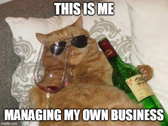 Funny Cat Birthday | THIS IS ME; MANAGING MY OWN BUSINESS | image tagged in funny cat birthday | made w/ Imgflip meme maker