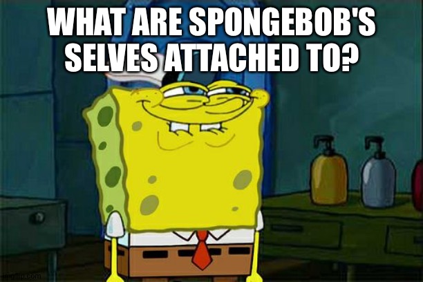 Don't You Squidward Meme | WHAT ARE SPONGEBOB'S SELVES ATTACHED TO? | image tagged in memes,don't you squidward | made w/ Imgflip meme maker