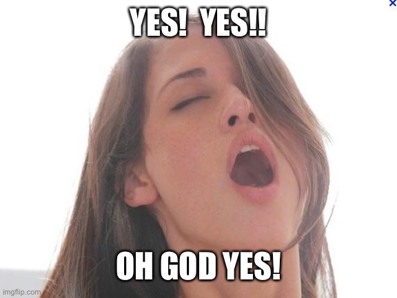 orgasm | YES!  YES!! OH GOD YES! | image tagged in orgasm | made w/ Imgflip meme maker