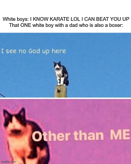Hail pole cat | White boys: I KNOW KARATE LOL I CAN BEAT YOU UP
That ONE white boy with a dad who is also a boxer: | image tagged in hail pole cat | made w/ Imgflip meme maker