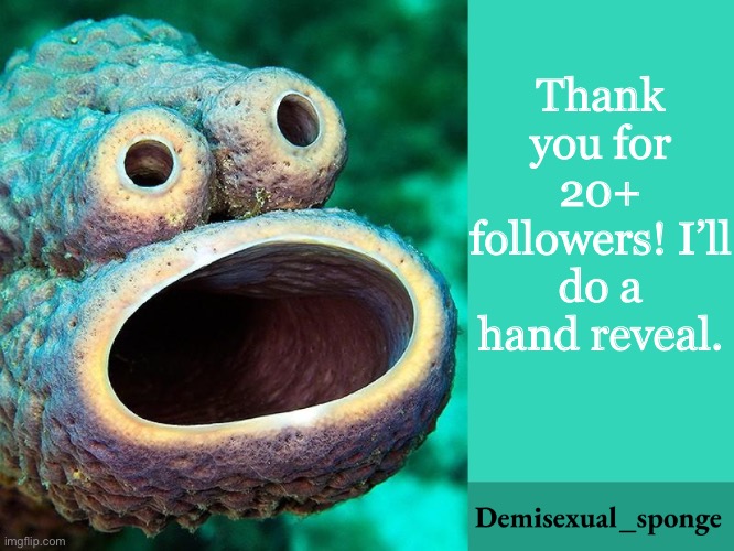 Thanks! | Thank you for 20+ followers! I’ll do a hand reveal. | image tagged in demisexual_sponge announcement,demisexual_sponge | made w/ Imgflip meme maker