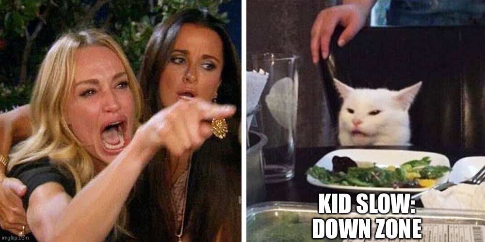 Smudge the cat | KID SLOW:
DOWN ZONE | image tagged in smudge the cat | made w/ Imgflip meme maker