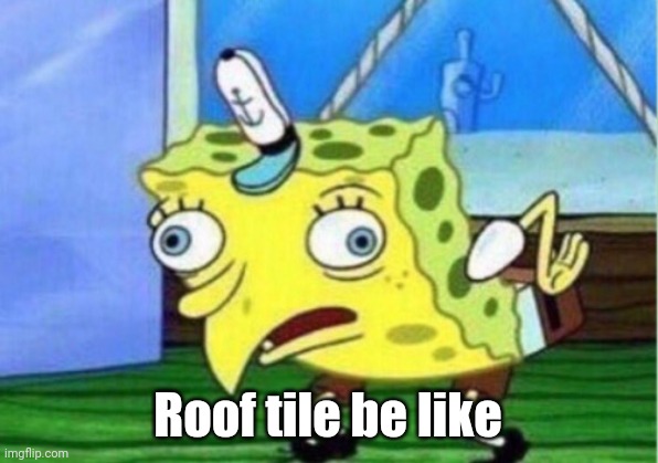 Mocking Spongebob Meme | Roof tile be like | image tagged in memes,mocking spongebob | made w/ Imgflip meme maker