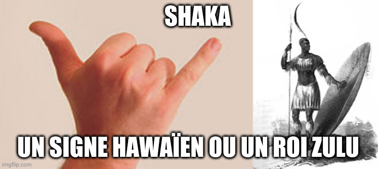 SHAKA; UN SIGNE HAWAÏEN OU UN ROI ZULU | image tagged in shaka | made w/ Imgflip meme maker