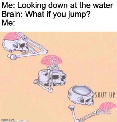 JUST SHUT UP | Me: Looking down at the water
Brain: What if you jump?
Me: | image tagged in skeleton shut up brain | made w/ Imgflip meme maker