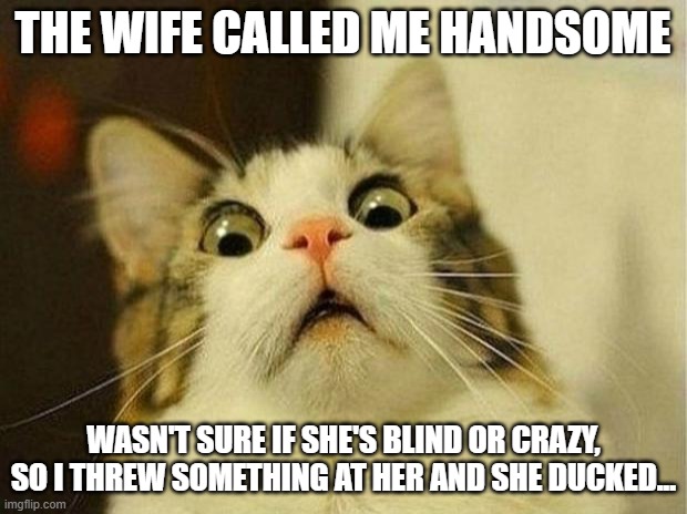 Oh snap! | THE WIFE CALLED ME HANDSOME; WASN'T SURE IF SHE'S BLIND OR CRAZY, SO I THREW SOMETHING AT HER AND SHE DUCKED... | image tagged in memes,scared cat | made w/ Imgflip meme maker