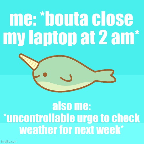 I'll just wear my g l a s s e s -_- | me: *bouta close my laptop at 2 am*; also me: *uncontrollable urge to check weather for next week* | image tagged in narwhal | made w/ Imgflip meme maker