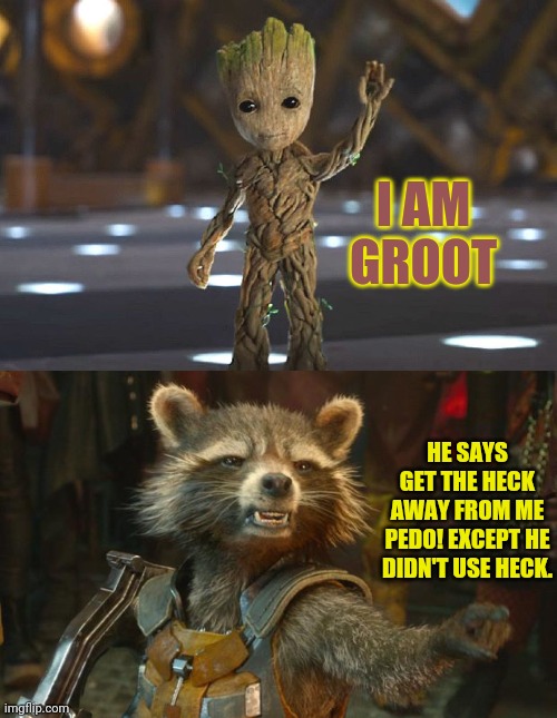 HE SAYS GET THE HECK AWAY FROM ME PEDO! EXCEPT HE DIDN'T USE HECK. I AM GROOT | image tagged in rocket raccoon | made w/ Imgflip meme maker