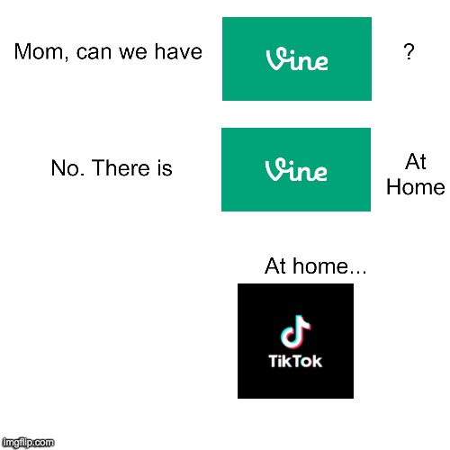 vine at home | image tagged in mom can we have | made w/ Imgflip meme maker