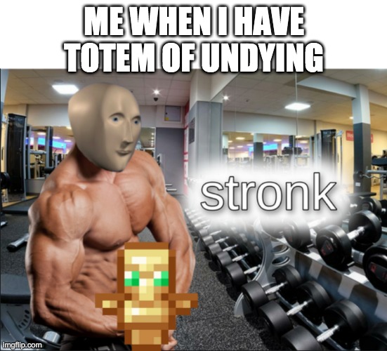 me when i have totem of undying | ME WHEN I HAVE TOTEM OF UNDYING | image tagged in stronks | made w/ Imgflip meme maker