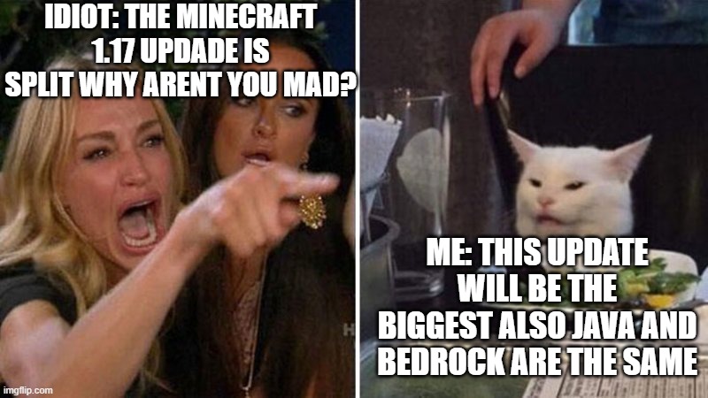 Woman Argues With Cat | IDIOT: THE MINECRAFT 1.17 UPDADE IS SPLIT WHY ARENT YOU MAD? ME: THIS UPDATE WILL BE THE BIGGEST ALSO JAVA AND BEDROCK ARE THE SAME | image tagged in woman argues with cat | made w/ Imgflip meme maker