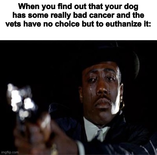 Crying Wesley Snipes | When you find out that your dog has some really bad cancer and the vets have no choice but to euthanize it: | image tagged in crying wesley snipes | made w/ Imgflip meme maker