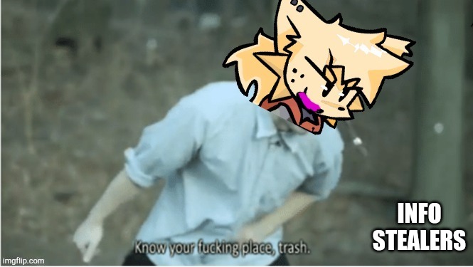 lesser do shows you your place | INFO STEALERS | image tagged in lesser do shows you your place | made w/ Imgflip meme maker
