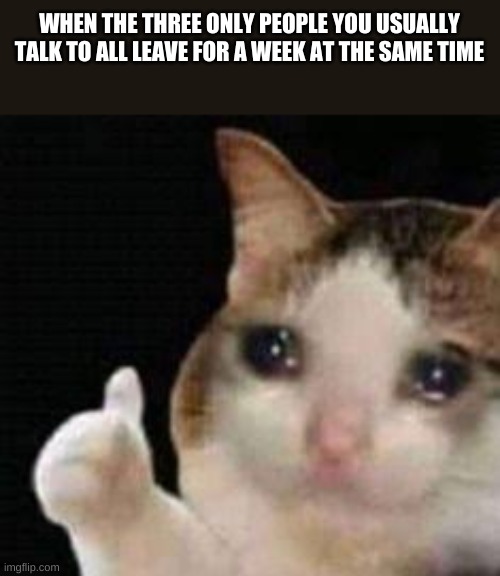 Talk about unlucky- Now I have no one to talk to till wednesday ;-; | WHEN THE THREE ONLY PEOPLE YOU USUALLY TALK TO ALL LEAVE FOR A WEEK AT THE SAME TIME | image tagged in approved crying cat | made w/ Imgflip meme maker
