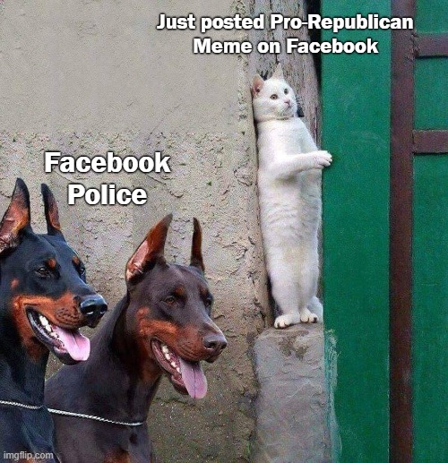 Facebook Police | Just posted Pro-Republican
Meme on Facebook; Facebook Police | image tagged in white cat hiding from dobermans,facebook | made w/ Imgflip meme maker