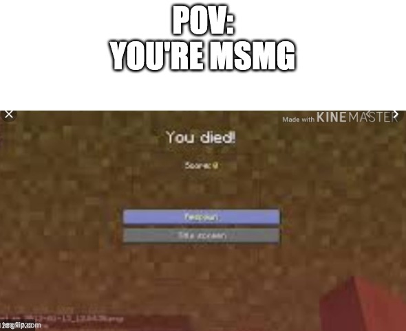 you died | POV:
YOU'RE MSMG | image tagged in you died | made w/ Imgflip meme maker