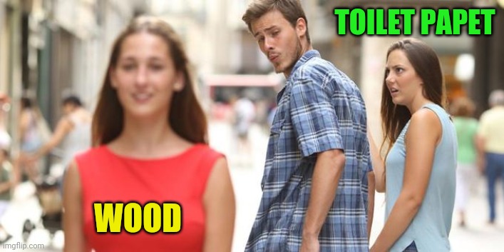 Girl walking by | TOILET PAPET; WOOD | image tagged in girl walking by | made w/ Imgflip meme maker