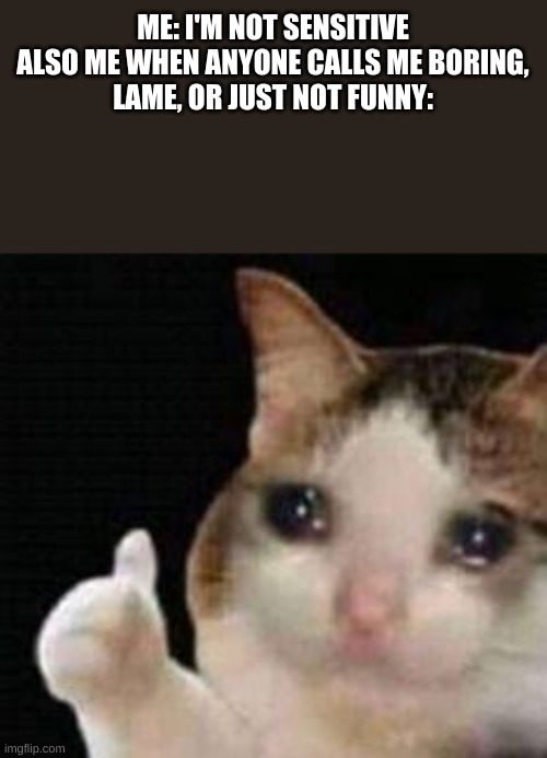 Approved crying cat | ME: I'M NOT SENSITIVE

ALSO ME WHEN ANYONE CALLS ME BORING, LAME, OR JUST NOT FUNNY: | image tagged in approved crying cat | made w/ Imgflip meme maker