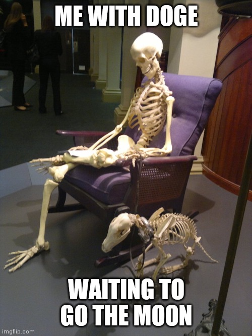 Jurassic Bark 2.0 |  ME WITH DOGE; WAITING TO GO THE MOON | image tagged in skeleton person and dog skeleton,doge,bitcoin,futurama,dogecoin | made w/ Imgflip meme maker