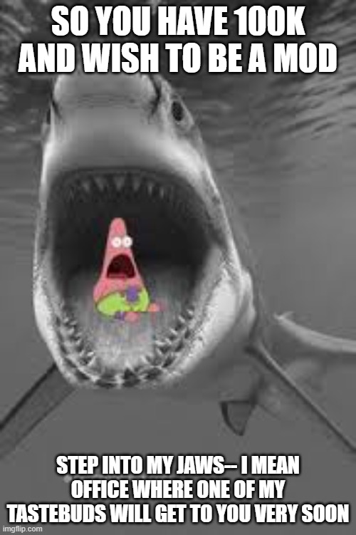 Patrick shark | SO YOU HAVE 100K AND WISH TO BE A MOD; STEP INTO MY JAWS-- I MEAN OFFICE WHERE ONE OF MY TASTEBUDS WILL GET TO YOU VERY SOON | image tagged in patrick shark | made w/ Imgflip meme maker