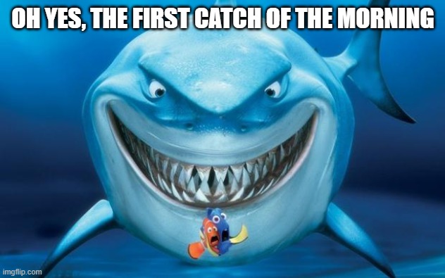 Hungry shark nemoÂ´s | OH YES, THE FIRST CATCH OF THE MORNING | image tagged in hungry shark nemo s | made w/ Imgflip meme maker