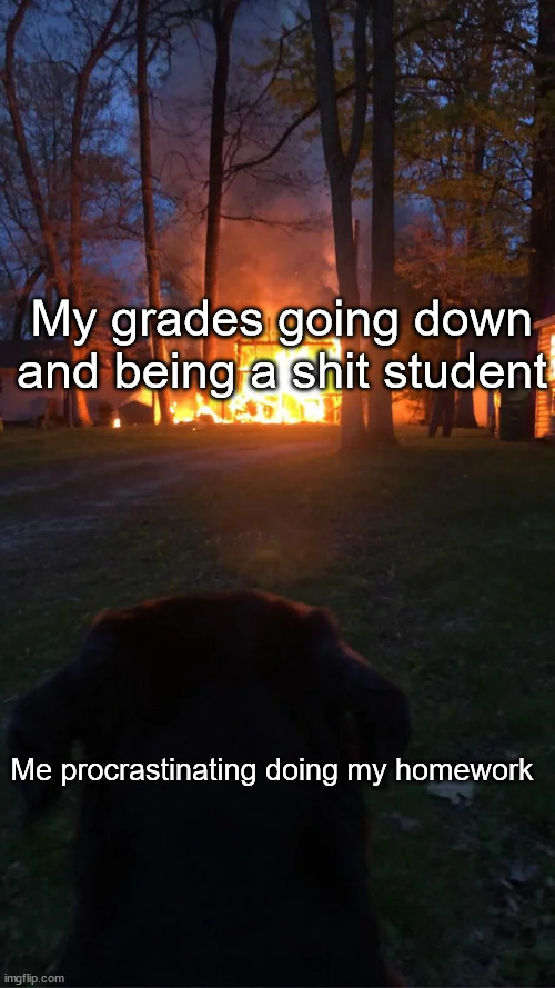 new format? also this is the life of a student | My grades going down and being a shit student; Me procrastinating doing my homework | image tagged in student life | made w/ Imgflip meme maker