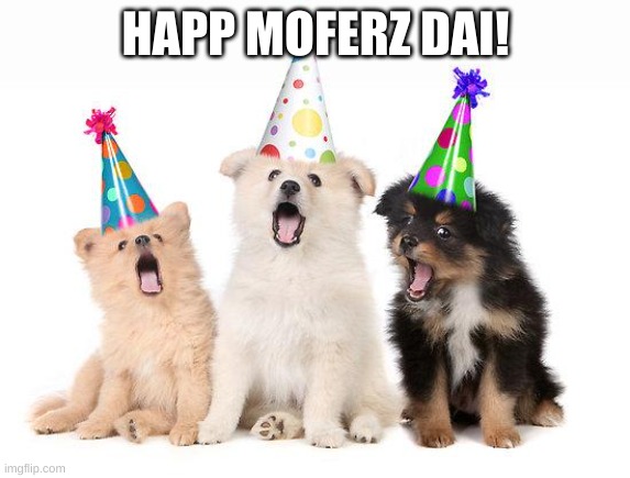 happy birthday puppies | HAPP MOFERZ DAI! | image tagged in happy birthday puppies | made w/ Imgflip meme maker