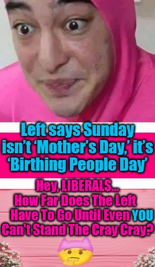 I Love Being Called "Mom"--DO NOT Call Me a "Birthing Person" | image tagged in politics,liberalism,democratic socialism,idiocy | made w/ Imgflip meme maker