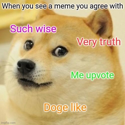 When you see a good meme | When you see a meme you agree with; Such wise; Very truth; Me upvote; Doge like | image tagged in memes,doge,agree,good memes,upvotes | made w/ Imgflip meme maker