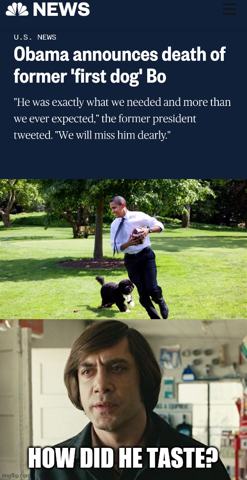 Barack Obama ate dog | HOW DID HE TASTE? | image tagged in no country for old men - anton chigurh | made w/ Imgflip meme maker