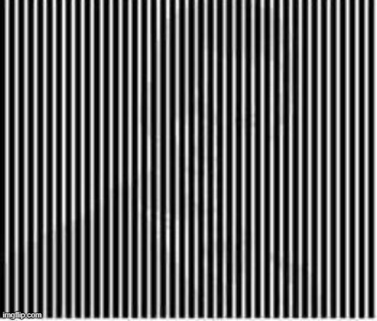 Shake your head and tell me what you see | image tagged in funny | made w/ Imgflip meme maker