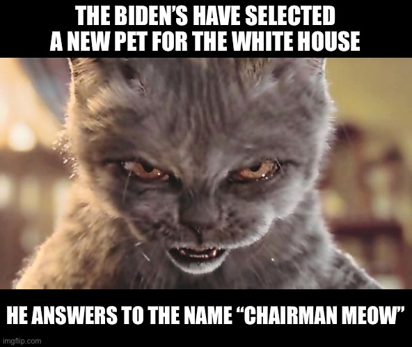 Cat | THE BIDEN’S HAVE SELECTED A NEW PET FOR THE WHITE HOUSE; HE ANSWERS TO THE NAME “CHAIRMAN MEOW” | image tagged in evil cat | made w/ Imgflip meme maker