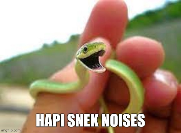 Happy snek | HAPI SNEK NOISES | image tagged in happy snek | made w/ Imgflip meme maker